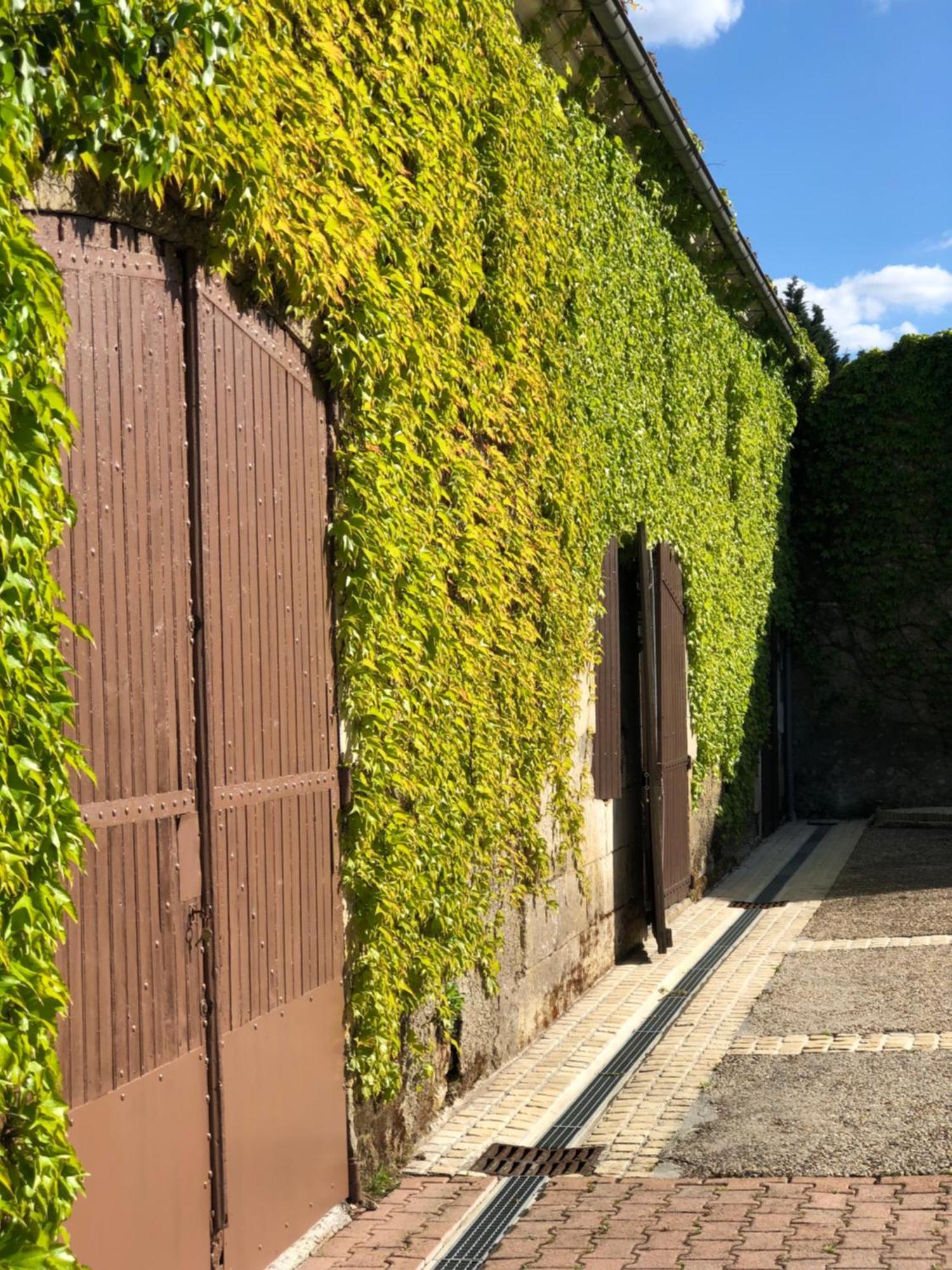 Le Domaine Du Haut Preau Saint-Palais-de-Negrignac Dış mekan fotoğraf